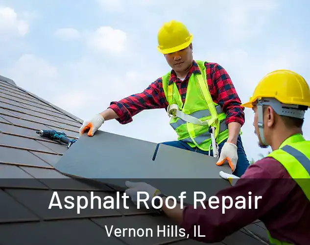  Asphalt Roof Repair Vernon Hills, IL