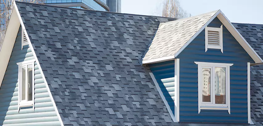 Shingle Roof Maintenance in Vernon Hills