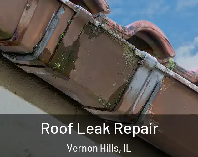  Roof Leak Repair Vernon Hills, IL