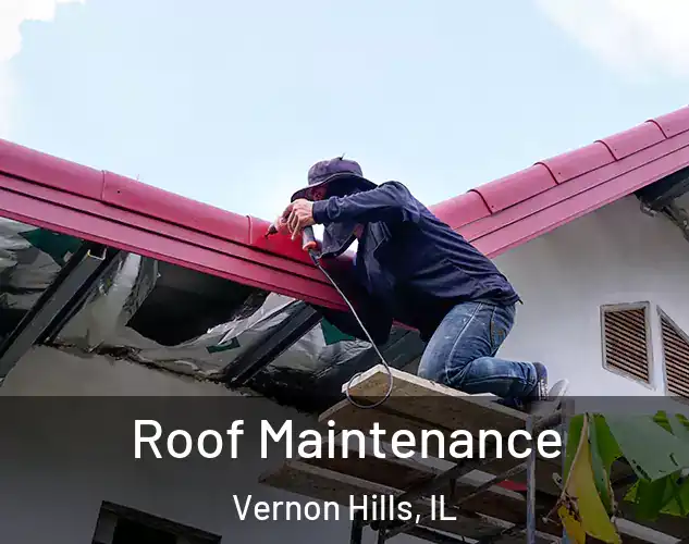  Roof Maintenance Vernon Hills, IL