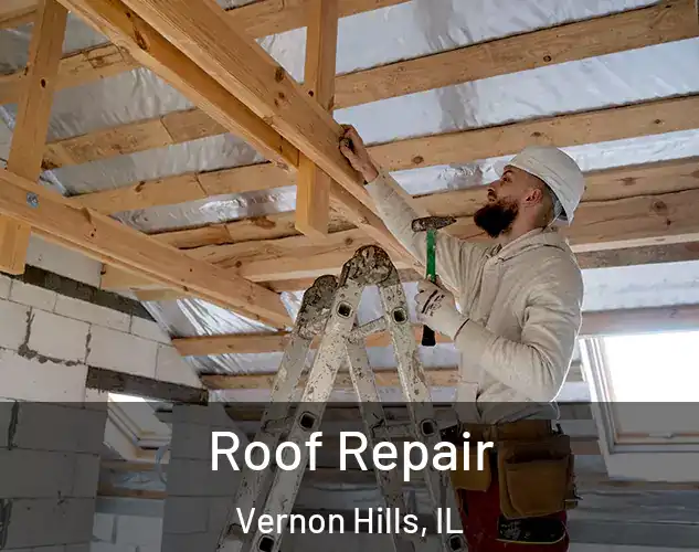  Roof Repair Vernon Hills, IL