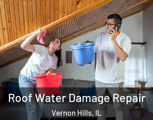  Roof Water Damage Repair Vernon Hills, IL